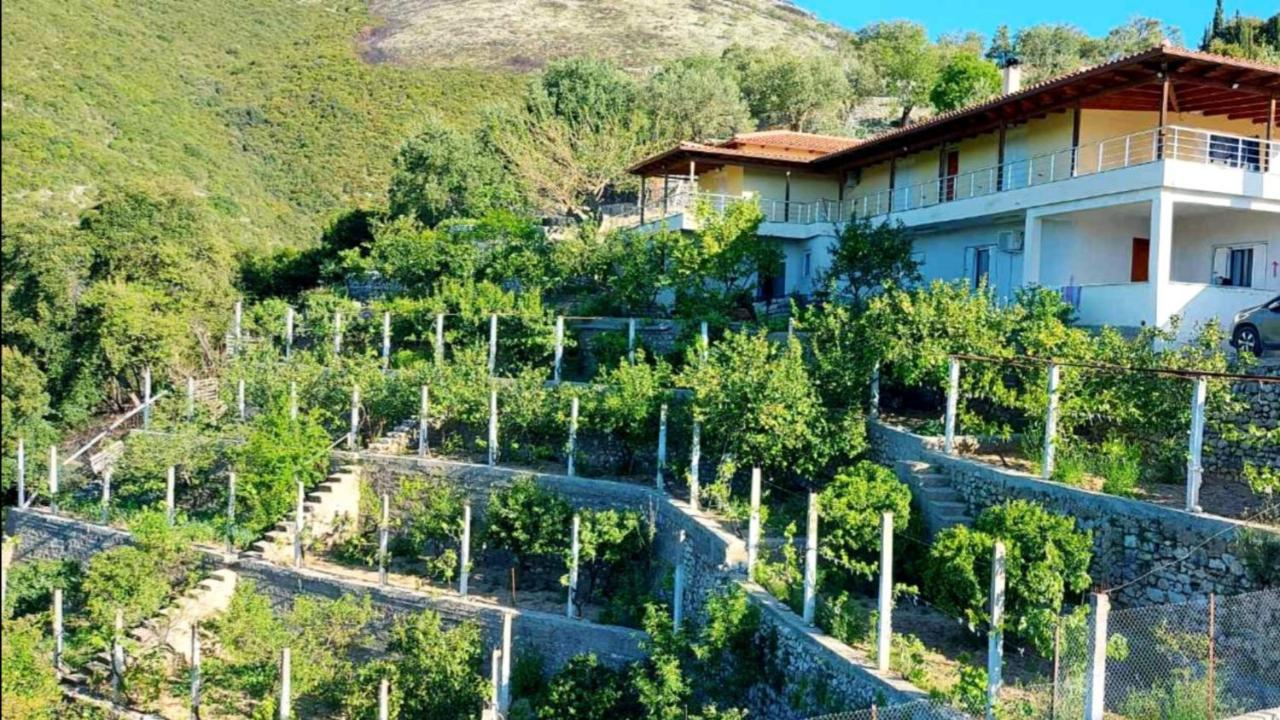 Philoxenia Guest House هيماري المظهر الخارجي الصورة