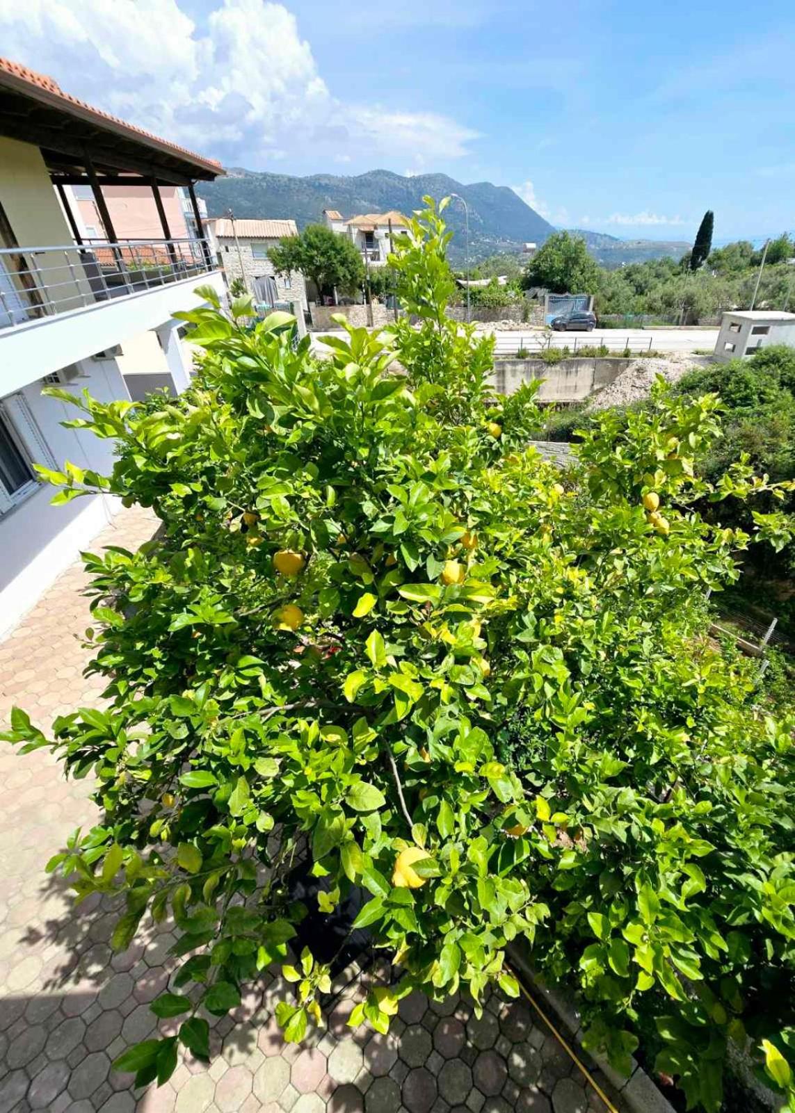 Philoxenia Guest House هيماري المظهر الخارجي الصورة