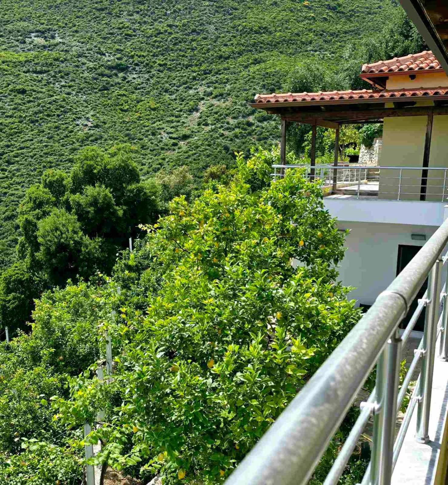 Philoxenia Guest House هيماري المظهر الخارجي الصورة